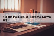广东麻将十三幺搞笑（广东麻将十三幺是什么意思）