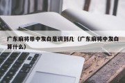 广东麻将带中发白是调到几（广东麻将中发白算什么）