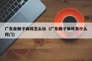 广东反赖子麻将怎么玩（广东赖子麻将有什么窍门）
