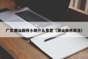 广东潮汕麻将小胡什么意思（潮汕麻将胡法）