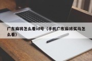 广东麻将怎么看id号（手机广东麻将买马怎么看）