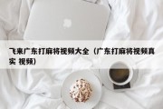 飞来广东打麻将视频大全（广东打麻将视频真实 视频）
