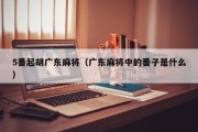 5番起胡广东麻将（广东麻将中的番子是什么）