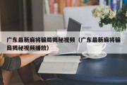 广东最新麻将骗局揭秘视频（广东最新麻将骗局揭秘视频播放）
