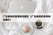 广东麻将的各类胡法图片（广东麻将的各类胡法图片）
