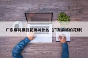 广东麻将摸到花牌叫什么（广东麻将的花牌）