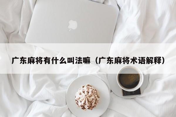 广东麻将有什么叫法嘛(广东麻将术语解释)