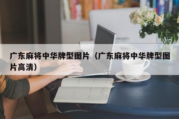 广东麻将中华牌型图片(广东麻将中华牌型图片高清)