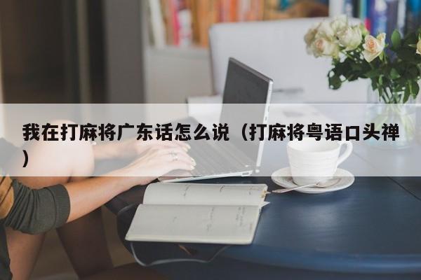 我在打麻将广东话怎么说(打麻将粤语口头禅)