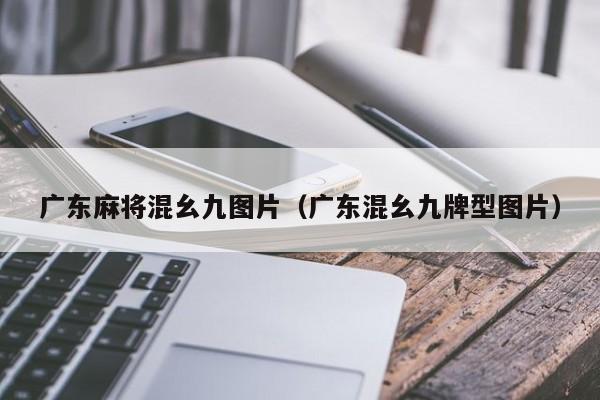 广东麻将混幺九图片(广东混幺九牌型图片)