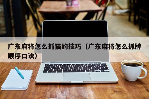 广东麻将怎么抓猫的技巧(广东麻将怎么抓牌顺序口诀)