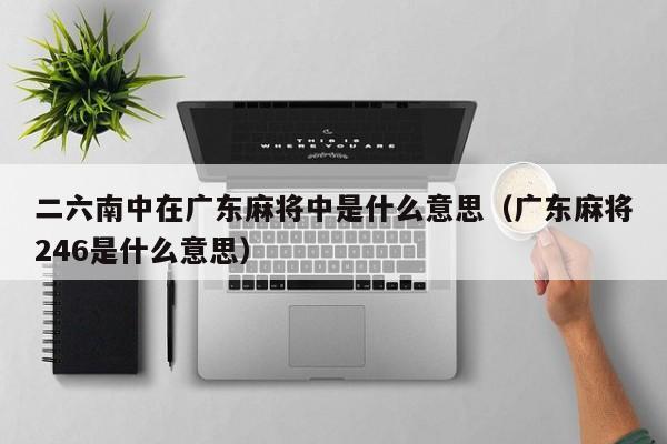 二六南中在广东麻将中是什么意思(广东麻将246是什么意思)